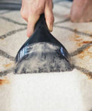 Bissell Pro Carpet Stain Cleaner Spotclean 1558N