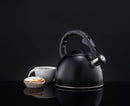 Ambition Spark Black  2.5L  Gas Kettle  DA42774