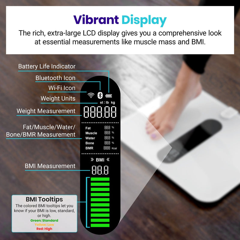 Etekcity ESF00+ Smart Body Weight and Fitness Scale Small Appliances 